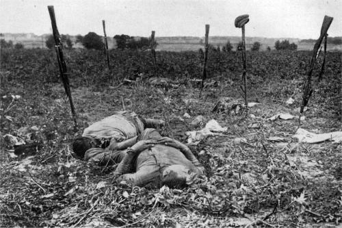 Gefallene Russen auf dem Schlachtfeld vor Riga