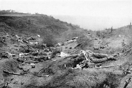Das Kampfgelände bei Targoviste (1916)